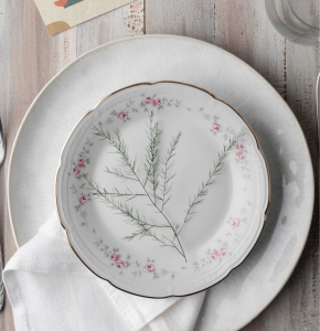 Harmony Plates Duo