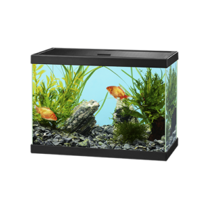 GlassyTank12.png GlassyTank