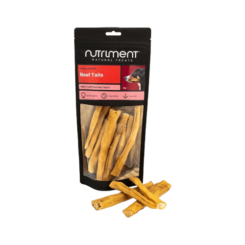 Happy Dog Brown Nature Life Pets Food