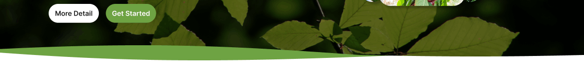 Free Eco Nature WordPress Theme Free Eco Nature WordPress Theme